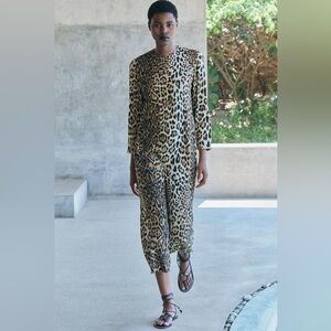 Zara Animal Print Dress
